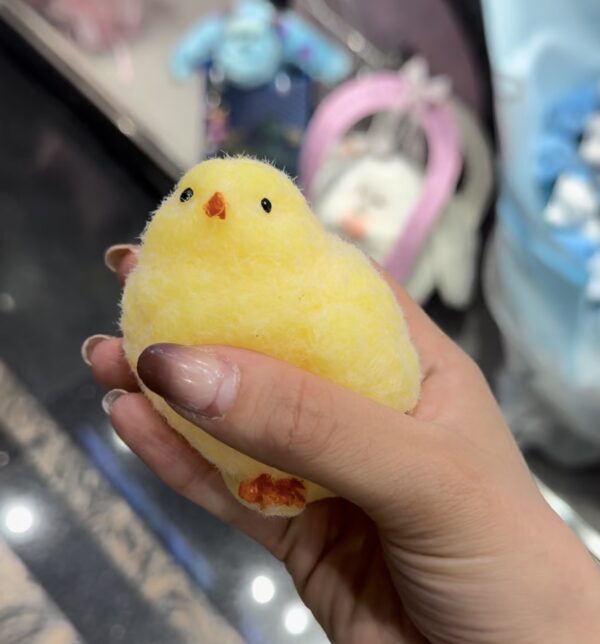 اسکویشی جوجه 🐥🐥 - Image 3