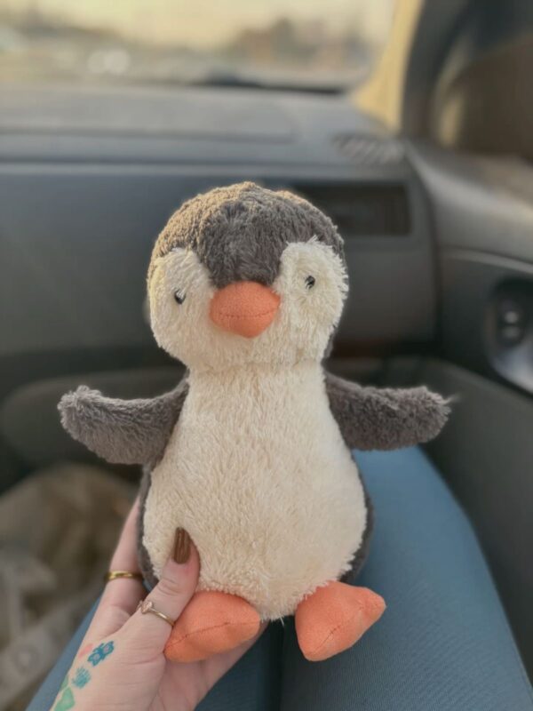 عروسک پینگو jelly cat 🐧🐧 - Image 2
