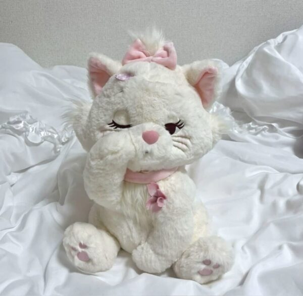 گربه اشرافی 🎀✨