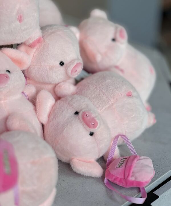 عروسک خوک کوله دار 🐽🐷💕 - Image 4