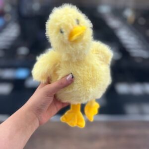 جوجه اردک کیوت🐥🧡